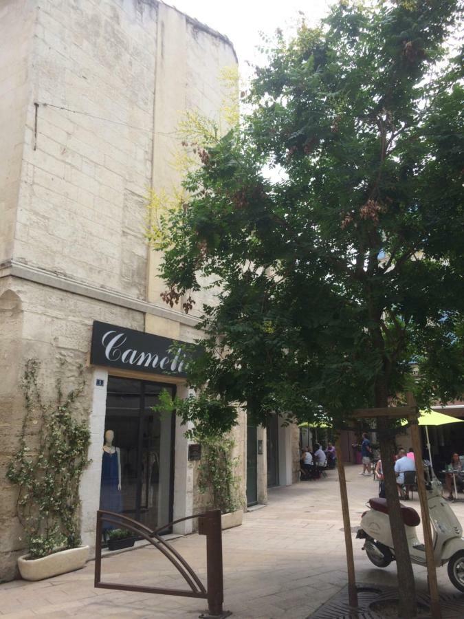 Nostradamus Saint-Rémy-de-Provence Exterior foto